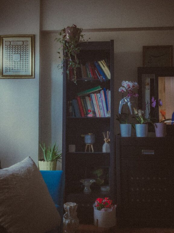 Tips for Creating a Cozy and Inviting Reading Nook in Your Home